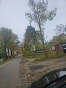 Foto: Strassenbegleitgrün nicht geschnitten 