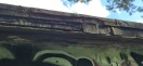 Foto: Hornissennest 