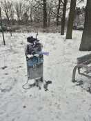 Foto: Hundetoiletten übervoll,  