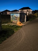 Foto: Großer Plüschbär 