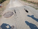 Foto: Hitzeschäden Zauchwitzer Dorfstraße  