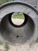 Beelitz: Fäkalien in Spieltonne  Foto: Fäkalien in Spieltonne