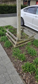 Foto: Umrahmung gebrochen  