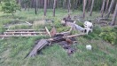 Foto: Abfall im Wald 