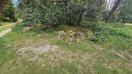 Foto: Gartenabfall 
