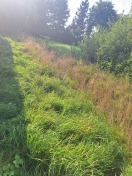 Foto: Ausmähen des Grabens in Bolschwitz Mitte  