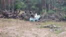 Foto: Müll im Wald  