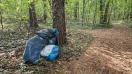 Foto: Mülltüten im Wald 