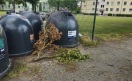 Foto: Sturmschaden - Ast 