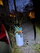 Foto: Mülleimer vor Pauli-Kloster quellen über -: ekelig  -Teil 1 