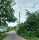 Foto: Straße wächst zu 