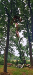 Foto: Friedhof großer Ast abgebrochen  