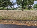 Foto: Fehlende Mäharbeiten und fehlende Straßenreinigung 