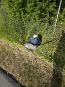 Foto: Müllsäcke am Radweg nach Mlode 