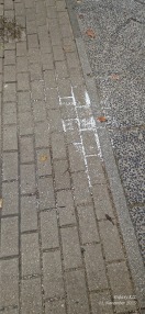 Foto: Weiße Kügelchen  