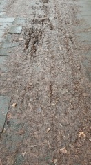 Foto: ID 376811 - Rutschiger Gehweg 