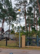 Foto: Wann wird endlich gehandelt??? 