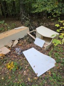 Foto: Müll im Wald  