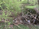 Foto: Teich voller Müll 