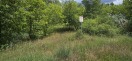 Foto: Wildes Angeln! 