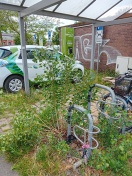 Foto: Fahrradständer am Bahnhof zugewuchert 