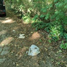 Foto: Müll am Straßenrand u im Wald Machnowersee Allee am Forsthaus  