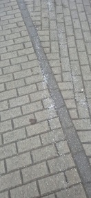 Foto: Streugut am Bahnhof und den Bushaltestellen 