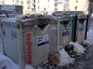Foto: Glastonnen ALBA 