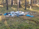 Foto: 2 Müllablagerungen im Wald Fotos und Standpunkte vorhanden konnte sie hier nicht hochlad4n 