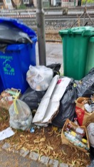 Foto: Müll vor dem Grundstück  