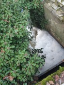 Foto: Stinkende schäumende Abwässer aus Bäke 