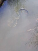 Foto: Fahrrad im Stadtgraben 
