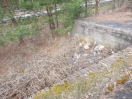 Foto: hinter der Rampe und gegenüber des Weges an der Rampe vorbei liegt alter Müll 