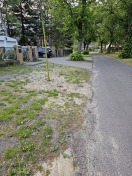 Foto: Bewässerungsring Neupflanzung Straßenbäume 