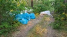 Foto: Abfall im Wald 