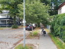 Foto:  Verkehrsbehinderung Bewuchs in öffentlichen Verkehrsraum 