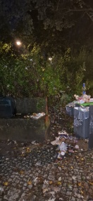 Foto: Mülleimer nach dem Wochenende immer voll  