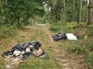 Foto: Von Ferch in Richtung Bahnhof Lienwitz ind der Kurve rechts im Walweg links 