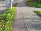 Foto: Radweg zugewachsen und verdreckt 