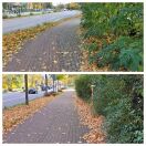 Foto: Zugewachsener Gehweg 