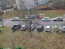 Foto: Parken auf Grünanlagen 