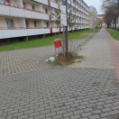 Foto: Müll am Zeitungsständer 