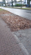 Foto: Bushaltestelle Hannemannstraße 