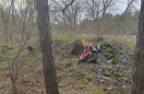 Foto: Bauschutt im Wald 