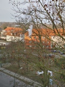 Foto: Nach Sturm Plastikmüll in der Baumkrone 