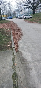 Foto: Straßenverschmutzung  