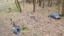 Foto: Müll im Wald 