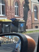 Foto: Ignoranz der Müllabfuhr 