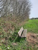 Foto: Wilde Deponie 