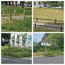 Foto: Grünpflege in Babelsberg Nord 